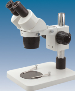 Dual Magnification Microscope PXTJ60