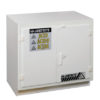 Undercounter corrosives/acid safety cabinet, Cap. thirty-six 2-1/2 ltr bottles, 2 door, poly