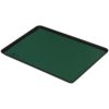 42558 – Statfree Z2 TM Tray Liner” 0.125”