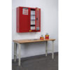 Sure-Grip&reg; EX Wall Mount Aerosol Can Safety Cabinet, Cap. 20 gallons, 3 shelves, 2 m/c doors