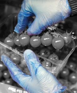 GL600 Blue Vinyl PFâ„¢