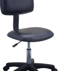 101C Hygienic Anti-static Chair